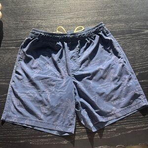 Chubbies Navy and Light Blue Swim Shorts